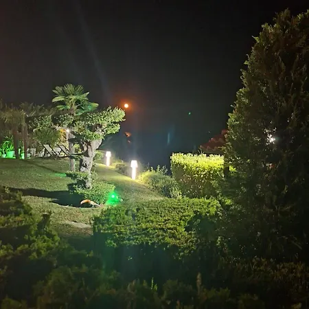 роял палм студио 99